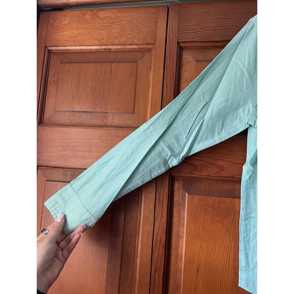 NWT Everlane Women's The Cotton Oversized Button Down Shirt Long Sleeve Mint 4 - Picture 4 of 11